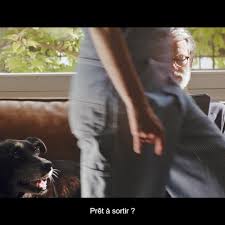 Epingle Sur Humour