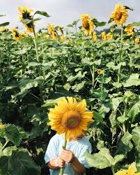 Shop full inventory >>> we offer the largest selection of flowers & decor floral in utah. Pin On Garden Parties Make Me Happy