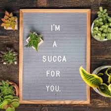 We did not find results for: Buy Short Sayings For Letter Boards Cheap Online