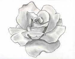 You can produce your own beautiful rose pencil drawings just by quickly testing your drawing skills. 42 Best Flowers Simple Ideas Flower Drawing Drawings Flower Sketches