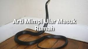 Check spelling or type a new query. Arti Mimpi Ular Masuk Rumah Menurut Islam Primbon Psikolog Dan Mitos Youtube