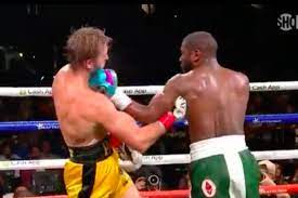 Logan paul vs mayweather is the main event of the evening but it should be just an exhibition boxing match. Shagklcevj5oum