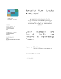 Image result for Linderniella wilmsii