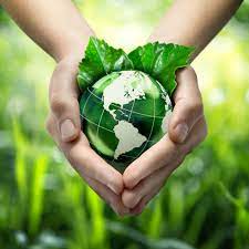 Check spelling or type a new query. Environmental Protection Kruch