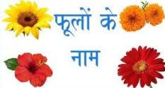 Maybe you would like to learn more about one of these? Flowers Name In Hindi And English 100 à¤« à¤² à¤• à¤¨ à¤®