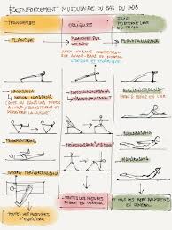 Renforcement Musculaire Du Bas Du Dos Avec Images Renforcement Musculaire Dos Ashtanga Vinyasa Yoga Exercices De Yoga
