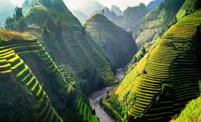 Maybe you would like to learn more about one of these? Breathtaking Nature Of Vietnam Takes Visitors On Thrilling Journey Daily Sabah
