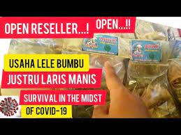 Cara Mengolah Lele Frozen Bumbu Siap Goreng Open Reseller For Added Value Catfish Youtube