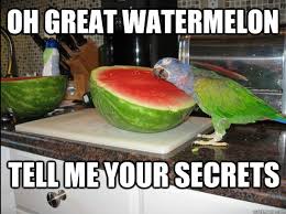 ► learn more about subscribe now for the best trailers, clips, sneak peeks, and binge guides for shows you love and the upcoming series and tv movies that should be. Oh Glorious Watermelon Tell Me Your Secrets Grass Know Your Meme