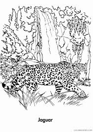 Jaguar coloring page will impress all little cat lovers. Jaguar Coloring Sheets Animal Coloring Pages Printable 2021 2575 Coloring4free Coloring4free Com