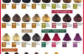 28 albums of ion permanent hair color chart explore