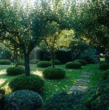 Many fruit plants serve double duty landscape plants as well. Fruit Tree Landscape Design Tlc Landscapes Llc