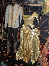 Anna Kendrick Cinderella Golden Gown Into The Woods Cinderella Costume Movie Costumes Beautiful Costumes