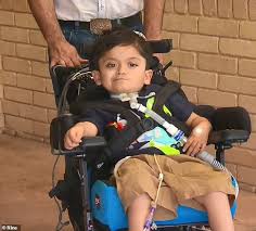 If you can't get dsp, you may be able to get other payments. Family Plead To Stay In Australia As They Face Being Kicked Out Because Son Is Burden On Taxpayer Daily Mail Online