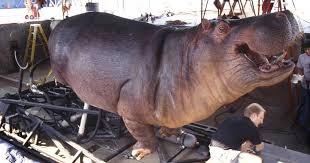 When an expedition to the african congo ends in disaster, a new team is assembled to find out what went finally, it is quite clear that amy is a person in a gorilla suit (which given the complexity of the. Congo Behind The Scenes Creating Animatronic Gorilla Suits At Stan Winston Studio Stan Winston School Of Character Arts