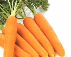 Изображение: Овощи моркови