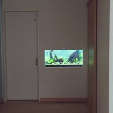 部屋全体 おはようございます ada ネイチャーアクアリウム 趣味部屋 などのインテリア実例 2015 10 14 09 17 24 roomclip ルームクリップ 趣味部屋 水槽 インテリア インテリア