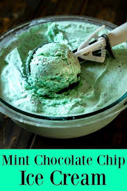 Homemade Mint Chocolate Chip Ice Cream The Schmidty Wife Reallyhealthyfoodrecipe In 2020 Homemade Ice Cream Recipes Machine Mint Chip Ice Cream Mint Chocolate Chips