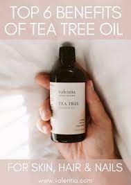 Top 6 Benefits Of Tea Tree Oil For Your Skin Hair And Nails Tea Tree Oil Tea Tree Oil For Acne Tea Tree Oil Uses