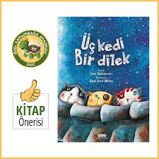 Kitap Onerisi Uc Kedi Bir Dilek Ozel Kaplumbaga Anaokulu