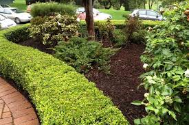 See our services and pricing. Cost Of Hiring A Gardener Australia Jim S Gardening Hourly Rates Serviceseeking