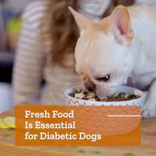 Some of the recipes call for unbleached flour. Help For Your Dog With Diabetes Dr Harvey S