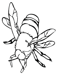 Some aren't really insects (for example, spiders are arachnids) but they're all creepy crawly things. Insect Coloring Pages Best Coloring Pages For Kids