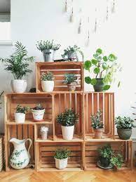 Crates In My Living Room Corner Cratemania Crates As Plant Stands Crate Construction Crate Furn Idee Per Interni Decorazioni Vegetali Decorazione Di Stanze
