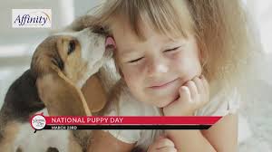 Call up your dog parent bestie and have a little get together (maybe serve those treats you made). Slp03037fo1k8m
