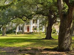 Maybe you would like to learn more about one of these? The 10 Safest Places To Live In New Orleans