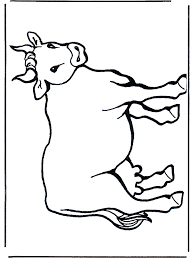 383 64 mann kuh reiten. Kuh 2 Malvorlagen Haus Und Bauernhoftiere