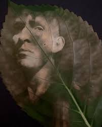 Anthotypes & Other Organic Processes I — Penumbra Foundation