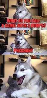 Is it nasty to call people a camel? A Little Kid Told Me This And I Thought It Was Funny Imgflip