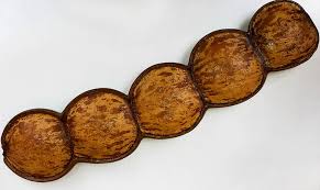 Image result for Entada gigas