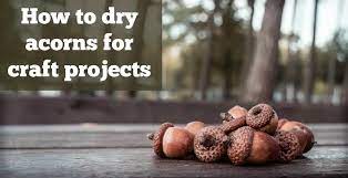 4.8 out of 5 stars. How To Dry Acorns For Craft Projects Mod Podge Rocks