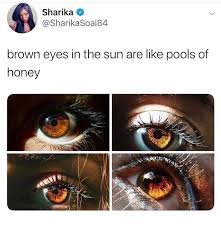 Thirty Random Memes Perfect For Mindless Browsing Brown Eyes Aesthetic Brown Eye Quotes Pretty Brown Eyes