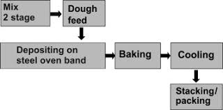 The Biscuits Sciencedirect