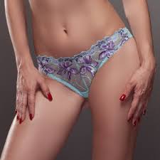 Pics/gif/vids of women masturbating in panties or clothes on. Sheer Low Rise Bikini Panty New Lavinia Lingerie Bridal Ebay