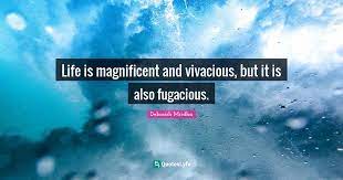 Discouragement is temporary, obstacles are overcome, and doubt is defeated, yielding to personal victory. Best Life Is Magnificent Quotes With Images To Share And Download For Free At Quoteslyfe