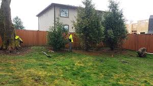Average depth is around 7 to 9 feet, however, some root systems can go much deeper and. Big Trees Inc Provides Large Tree Privacy Screen To Home Big Tree Supply