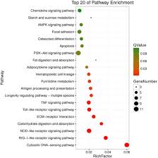 The Research On The Mechanism Of Tsoong Inhibiting For Colon