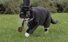 Cat Top Hat Monocle Gifs Tenor