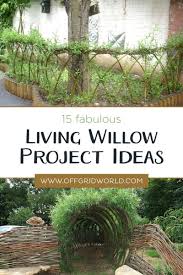 15 Fabulous Living Willow Project Ideas Off Grid World In 2020 Garden Ideas Uk Outdoor Landscaping Amazing Gardens