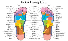 Amazon Com Foot Reflexology Information Wall Chart Art Self
