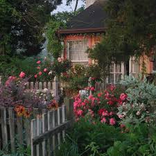Pin By Marie Claude Payet On Nature Landscapes Cottage Garden Plants Flower Garden