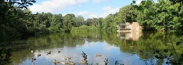 100% climate neutral brabant water. Wandelnetwerk Noord Brabant Wandelen In Noord Brabant