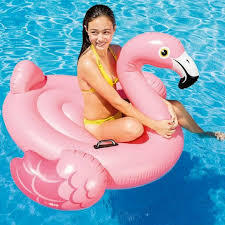 Touslescadeaux Flamant Rose Gonflable Geant Pour Piscine 142 Cm Pas Cher Achat Vente Jeux De Piscine Rueducommerce