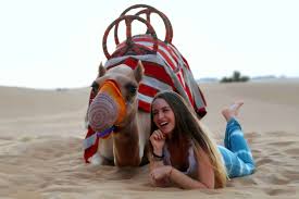 Things to do near dubai camel racing club. Desert Safari Photography Session Camel Ride Bbq In Dubai My Guide Dubai