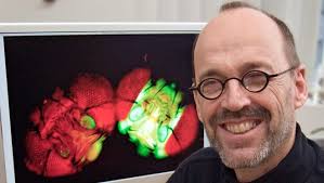 New URMC associate dean for reseach