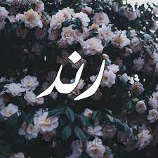 بالصور اسم رند خلفيات اسم رند معنى اسم رند 2021 صقور الإبدآع